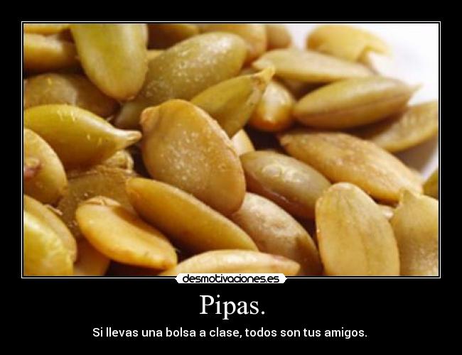 Pipas. - Si llevas una bolsa a clase, todos son tus amigos.