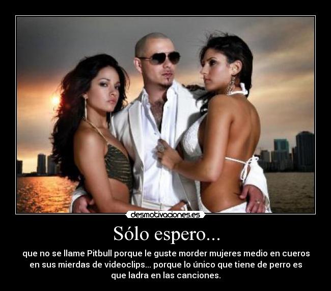 carteles pitbull morder ladra desmotivaciones