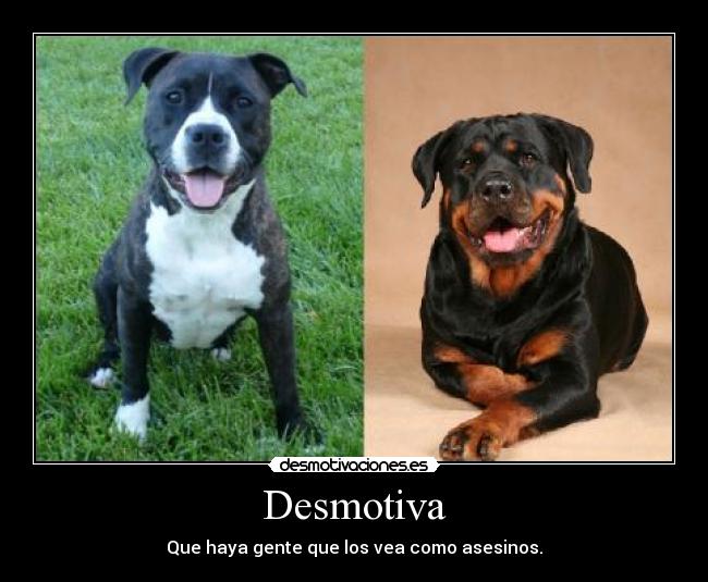 Desmotiva -