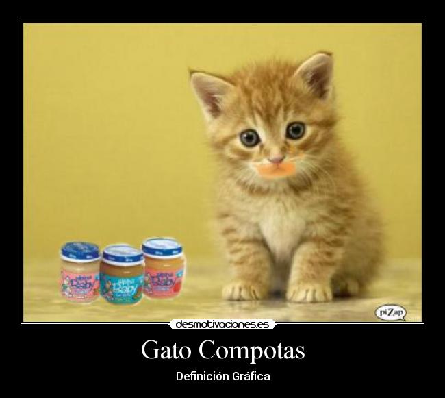Gato Compotas -