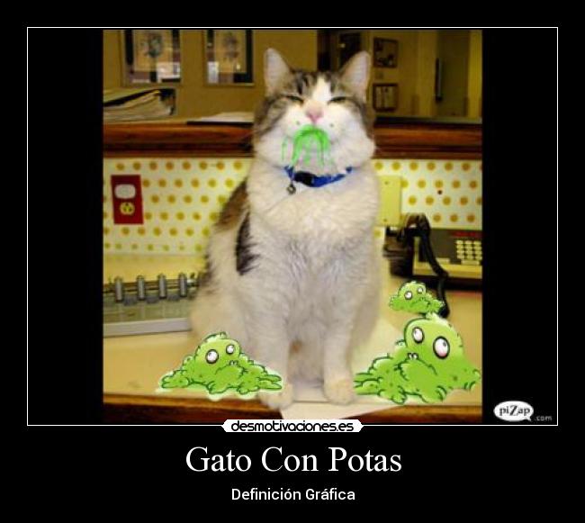 Gato Con Potas -