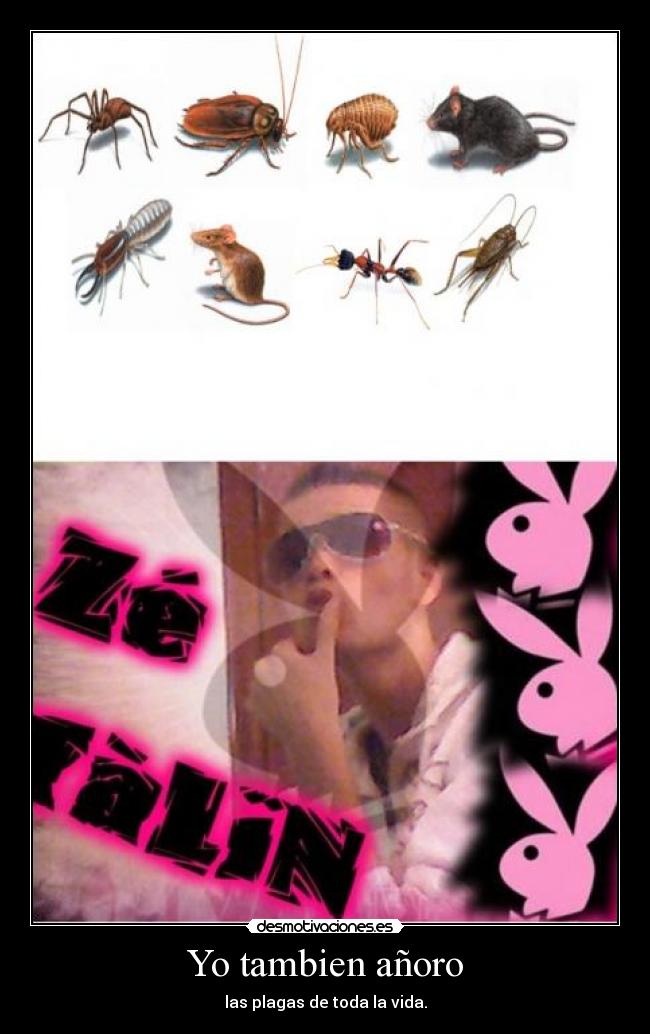Yo tambien añoro -