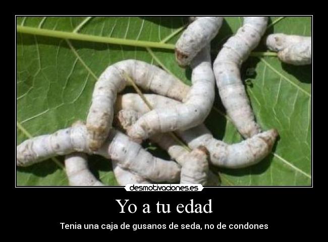 Yo a tu edad - Tenia una caja de gusanos de seda, no de condones