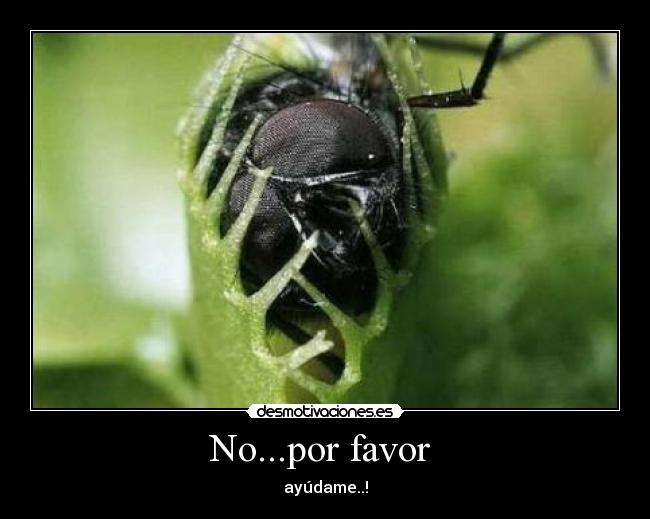 No...por favor - ayúdame..!