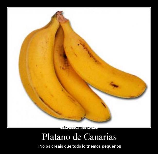 Platano de Canarias - !!No os creais que todo lo tnemos pequeño¡¡