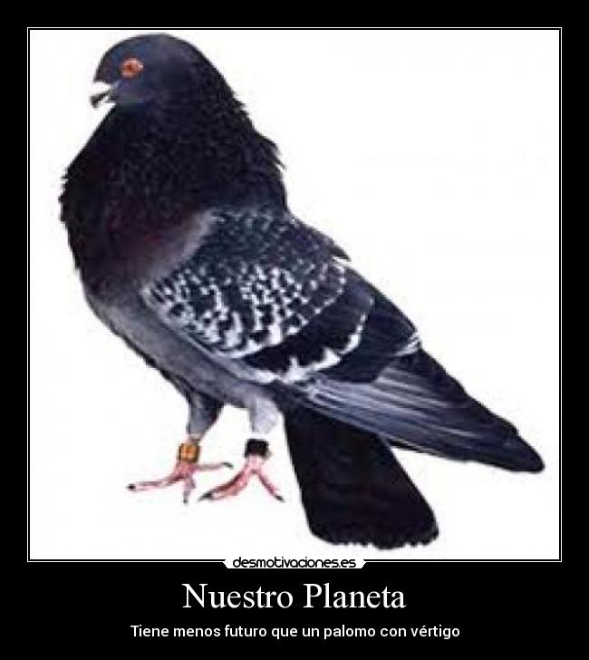 Nuestro Planeta - Tiene menos futuro que un palomo con vértigo
