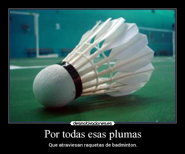 Por todas esas plumas - Que atraviesan raquetas de badminton.