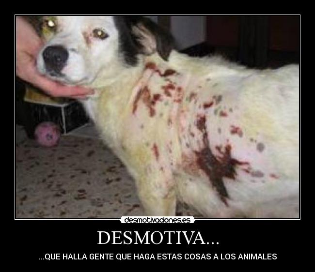 carteles desmotiva desmotivaciones