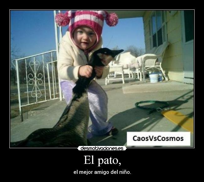 El pato, - el mejor amigo del niño.