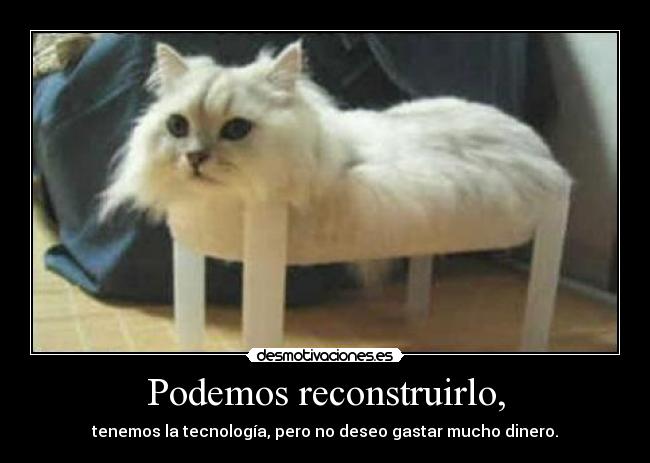 Podemos reconstruirlo, - tenemos la tecnología, pero no deseo gastar mucho dinero.