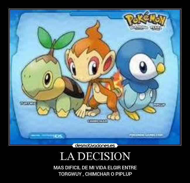 LA DECISION - 