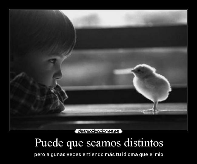 Puede que seamos distintos - 