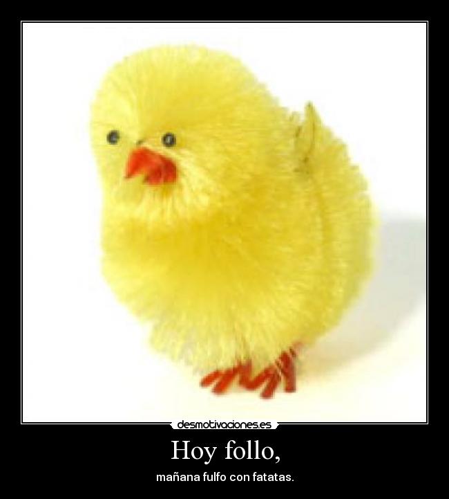 Hoy follo, - mañana fulfo con fatatas.