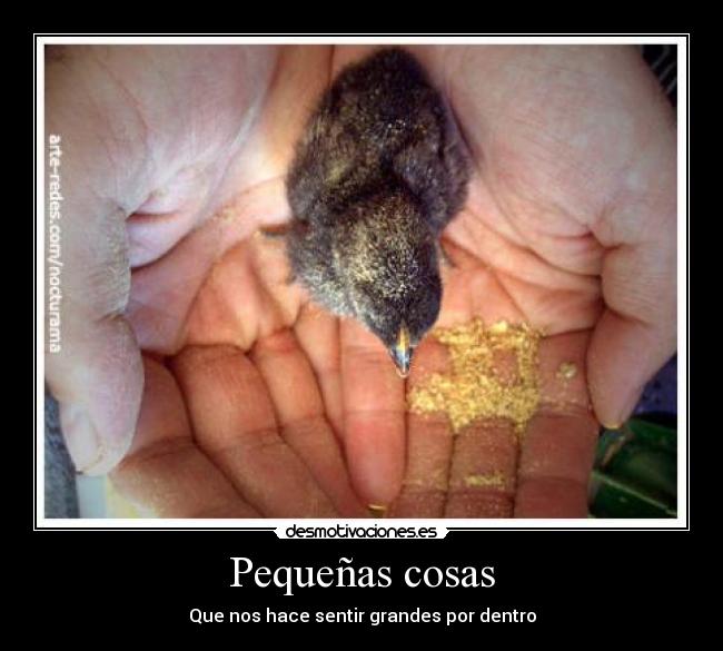 carteles ale desmotivaciones