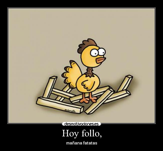 Hoy follo, -