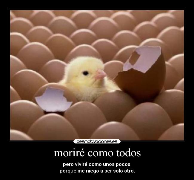 carteles morire como todos desmotivaciones