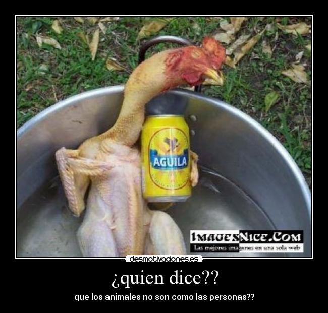 ¿quien dice?? - que los animales no son como las personas??
