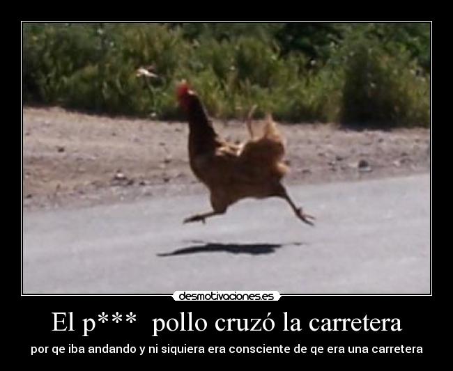 El p*** pollo cruzó la carretera -