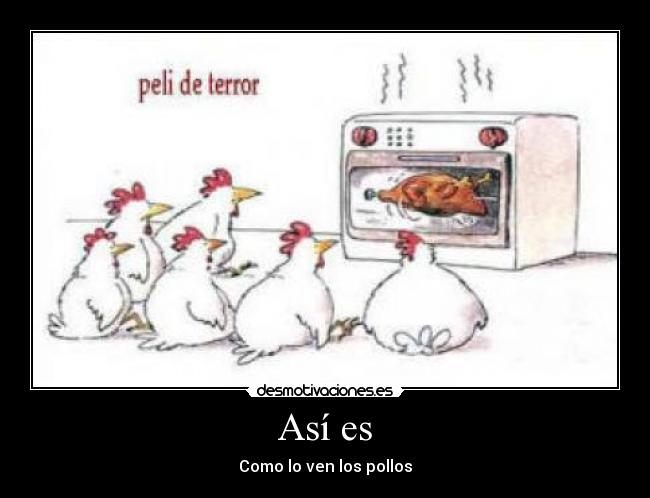 Así es - Como lo ven los pollos