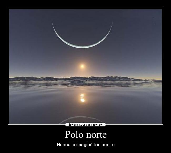 Polo norte -