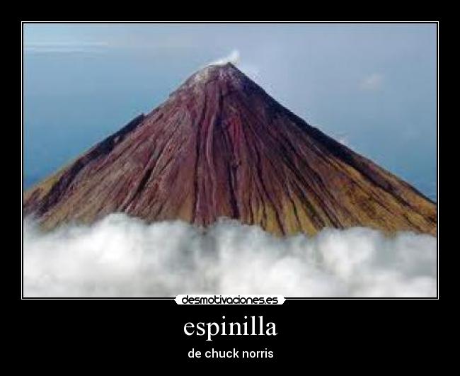 espinilla - de chuck norris