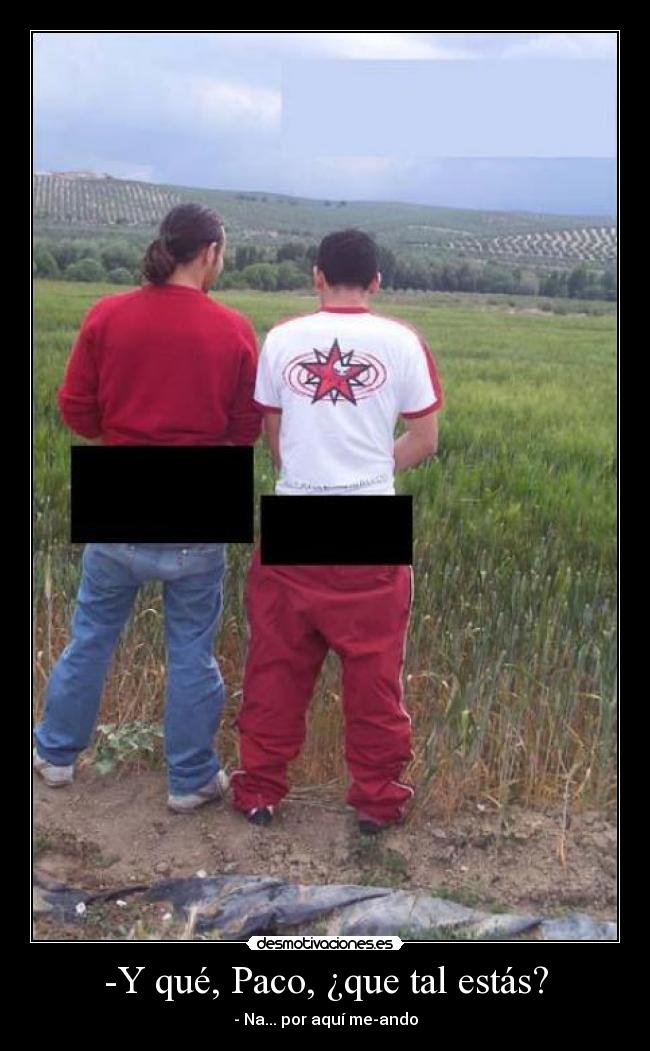 -Y qué, Paco, ¿que tal estás? - - Na... por aquí me-ando