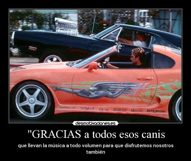 GRACIAS a todos esos canis - que llevan la música a todo volumen para que disfrutemos nosotros también