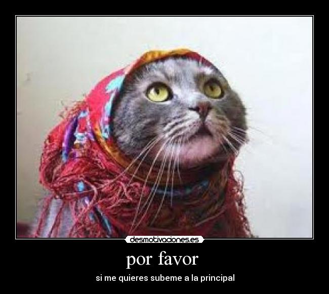 por favor  - si me quieres subeme a la principal