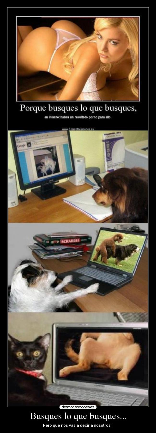 carteles busques que busques nikorural desmotivaciones