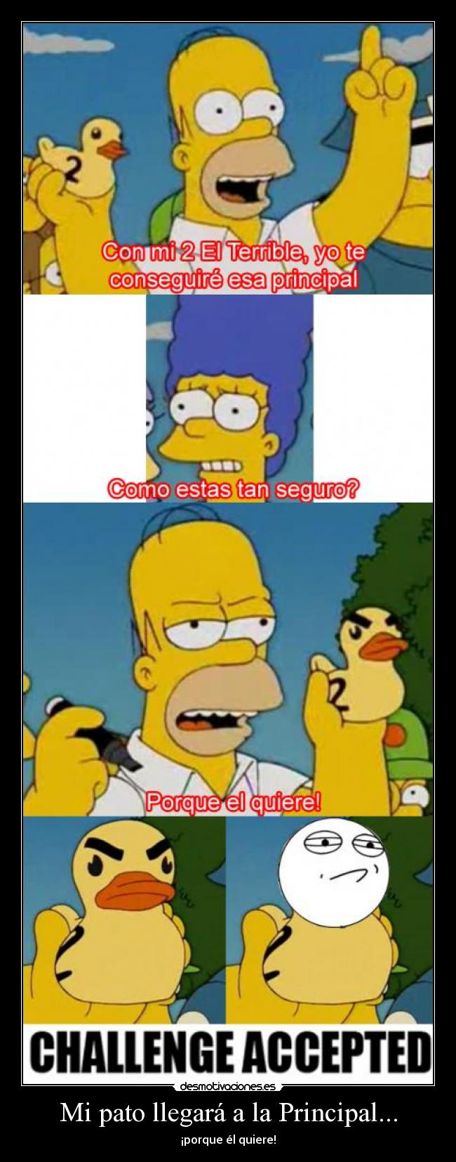 Mi pato llegará a la Principal... -