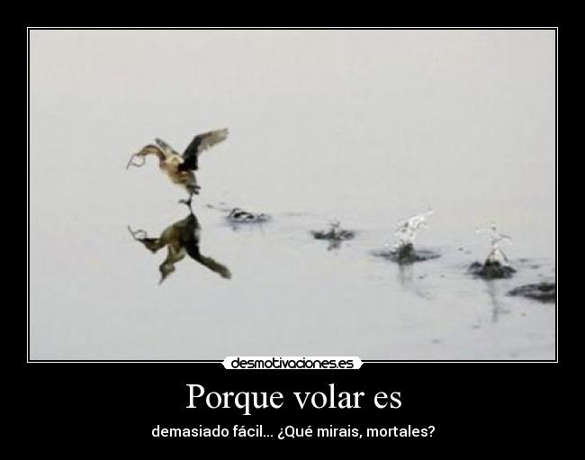 Porque volar es - demasiado fácil... ¿Qué mirais, mortales?