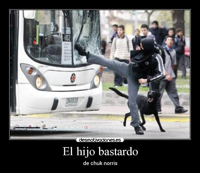 El hijo bastardo - de chuk norris