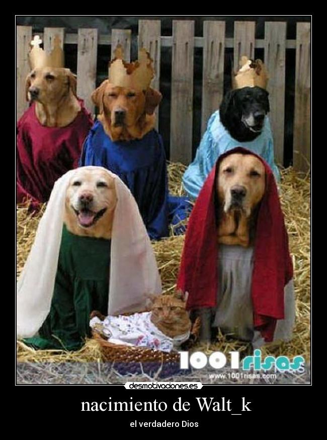 nacimiento de Walt_k -