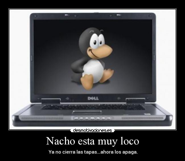 Nacho esta muy loco -