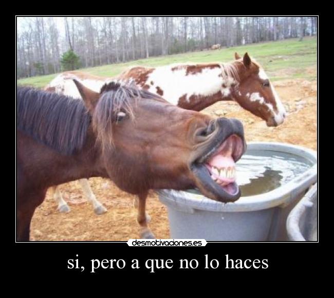 carteles manu16 desmotivaciones