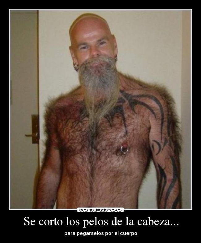 carteles peludo calvo desmotivaciones