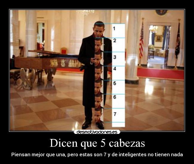 Dicen que 5 cabezas - Piensan mejor que una, pero estas son 7 y de inteligentes no tienen nada