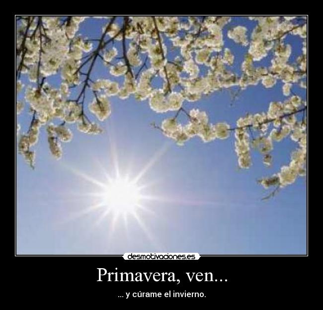 Primavera, ven... - 