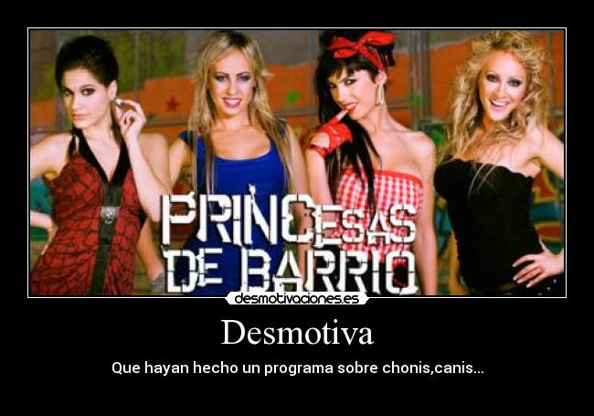 Desmotiva - Que hayan hecho un programa sobre chonis,canis...