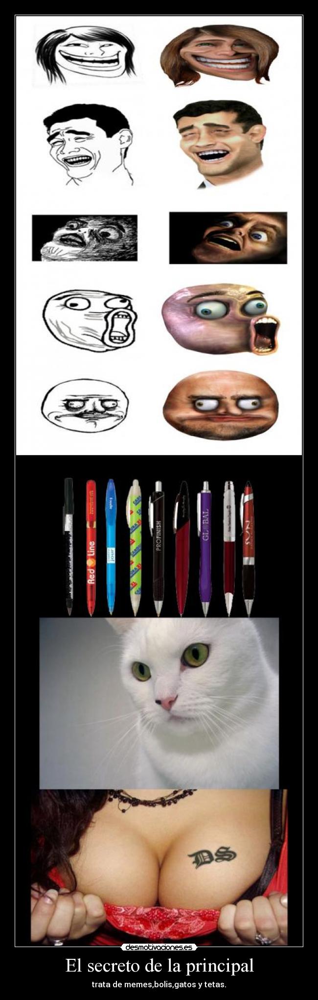 El secreto de la principal - trata de memes,bolis,gatos y tetas.