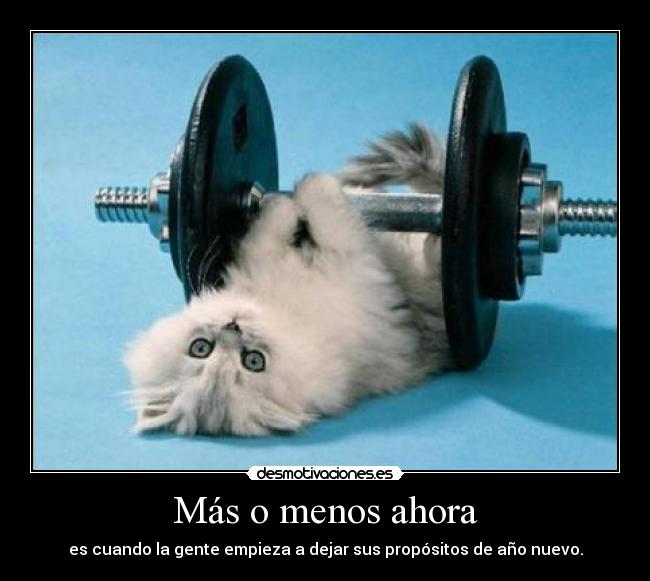 Más o menos ahora - es cuando la gente empieza a dejar sus propósitos de año nuevo.