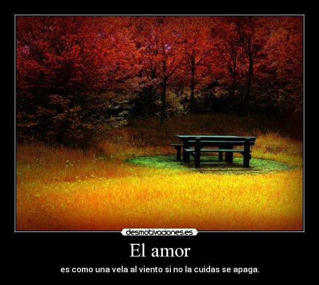 El amor - 
