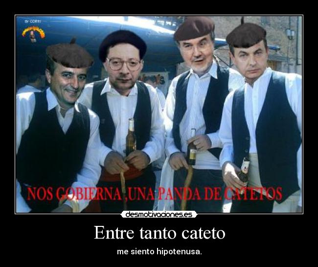 Entre tanto cateto -