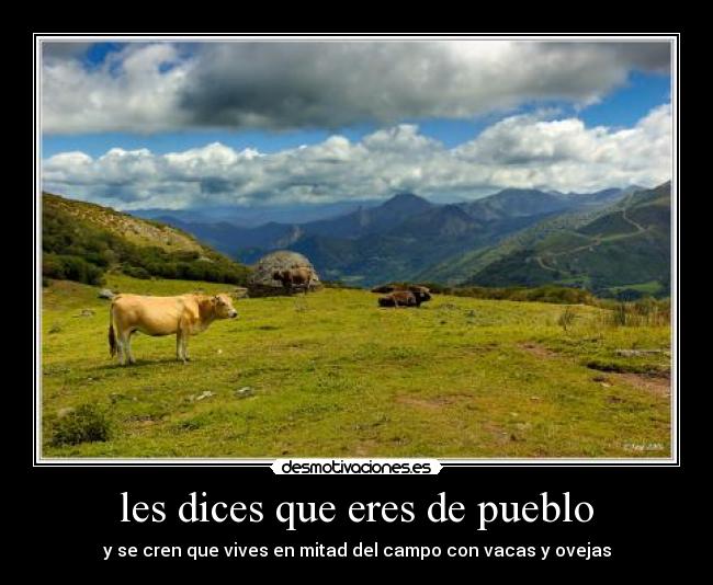 les dices que eres de pueblo - y se cren que vives en mitad del campo con vacas y ovejas