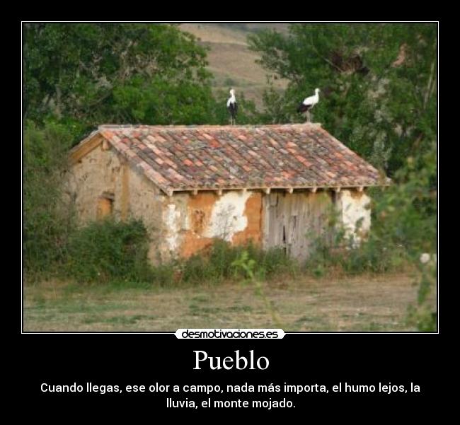 Pueblo - Cuando llegas, ese olor a campo, nada más importa, el humo lejos, la
lluvia, el monte mojado.