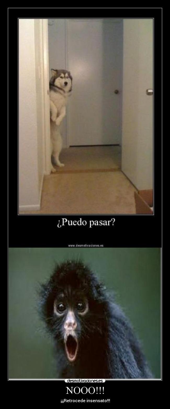 NOOO!!! -