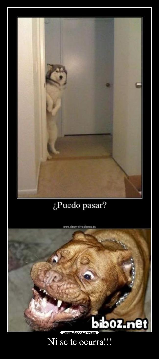Ni se te ocurra!!! -