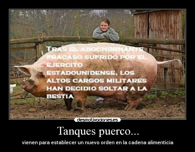 Tanques puerco... -