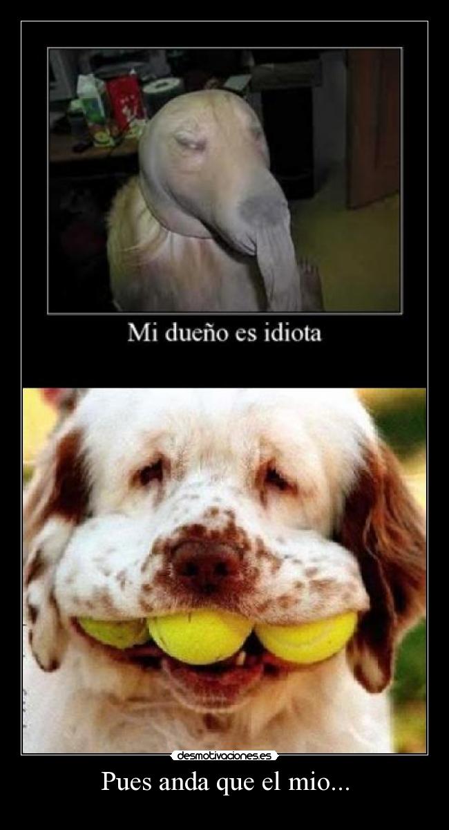 Pues anda que el mio... - 