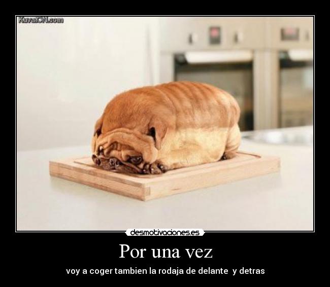 carteles wwwdesmotivacioneses desmotivaciones